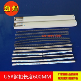 针式输送带钢扣，长600mm